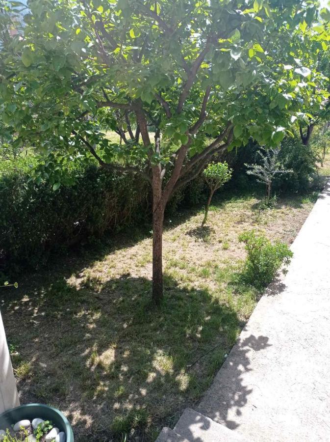 Apartment Ivan Котор Екстер'єр фото